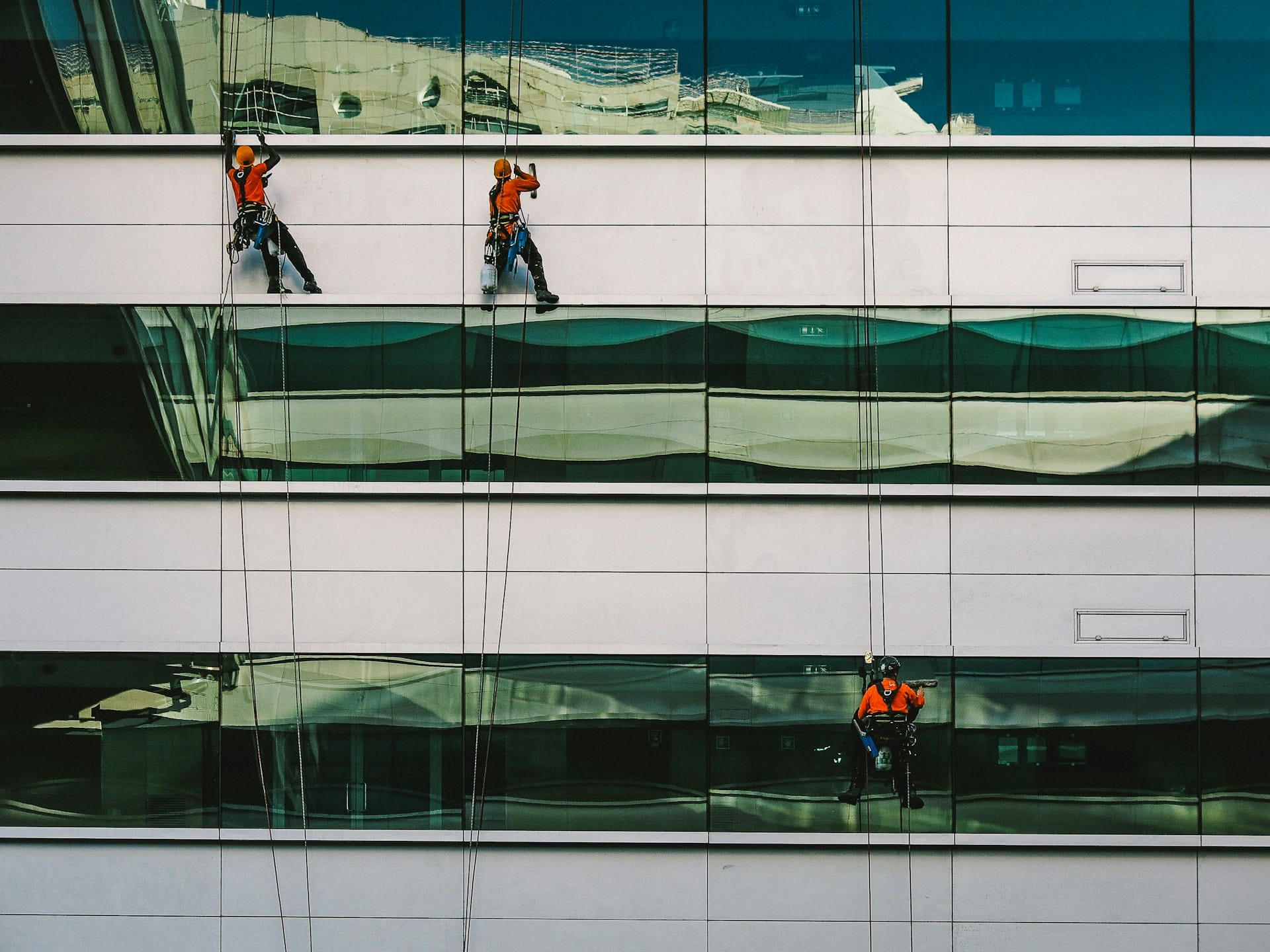 Three professional high-rise window cleaners in safety gear rappelling down the side of a large, modern glass building to perform their work.