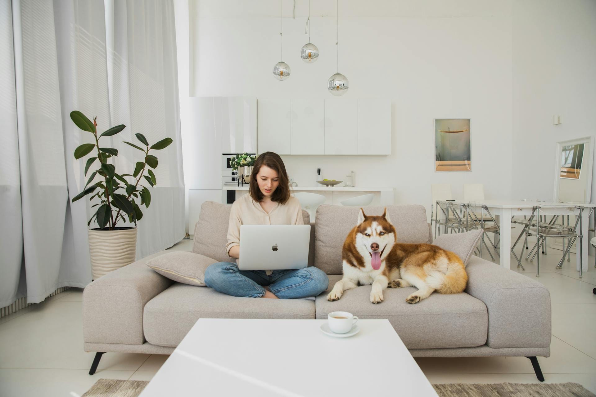 A woman relaxes with her laptop on a sofa next to her Siberian Husky in a bright, spotless, and modern living room, enjoying a clean home environment.